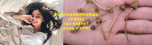 прущая мука Магадан