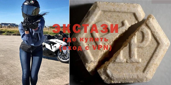 индика Медвежьегорск